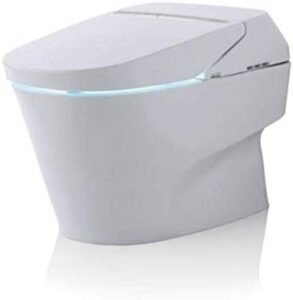 TOTO Neorest 750H Dual-Flush Toilet - Best Low-profile Toilet